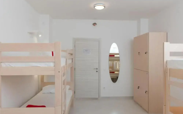 Hostel Free Bird