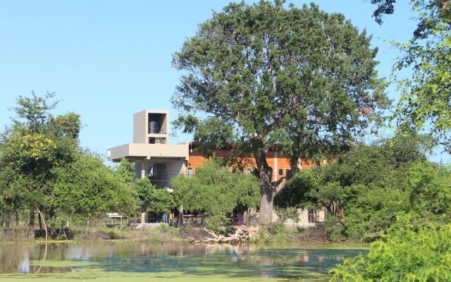 Tree Tops Yala