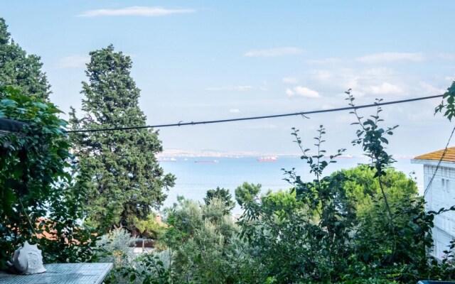 Lovely Flat Near Beach With Sea View in Buyukada