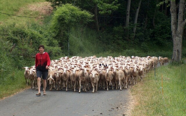 Elegant Mansion With Swimming Pool, Terrace, Sun-loungers