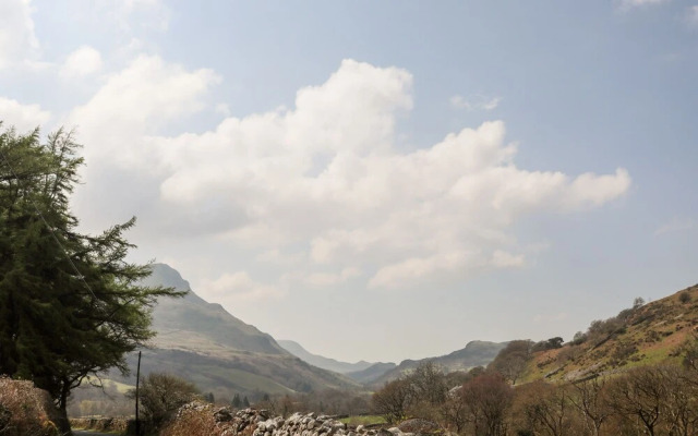 Gilfachwydd