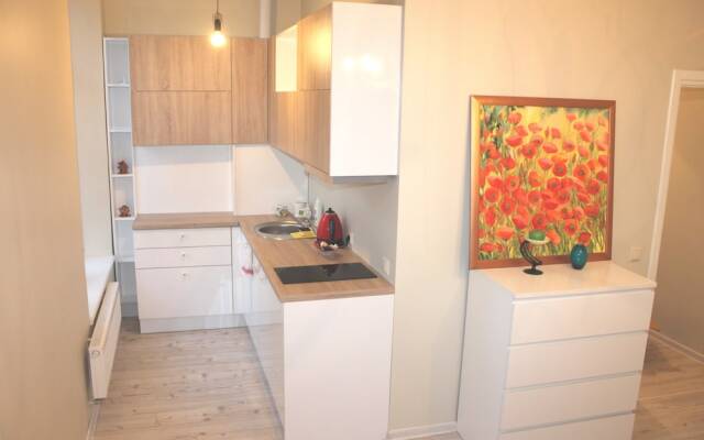 IGo apartment Uzupis
