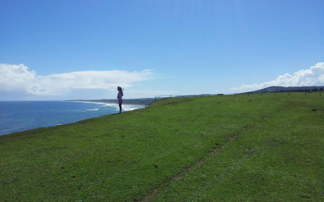 Cabañas Punta de Lobos