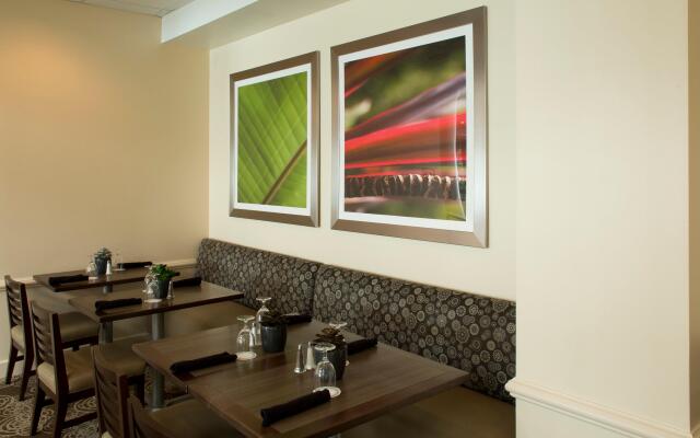 Holiday Inn Houston S - Nrg Area - Medical Center by IHG