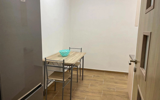 Grand apartments in the centre of Teplice