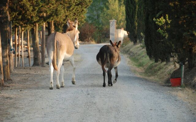 Agriturismo Podere Diacceroni