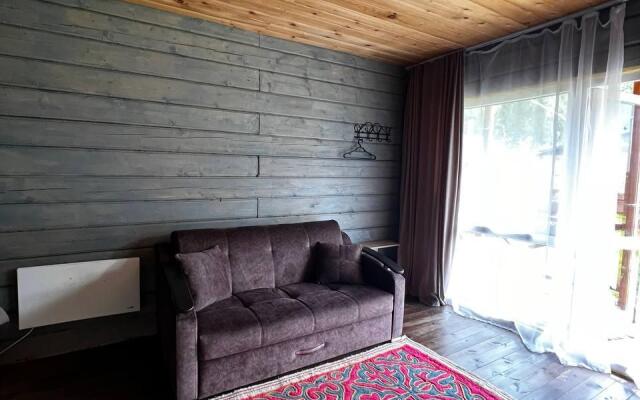 Altay Dream (Altai Dream)