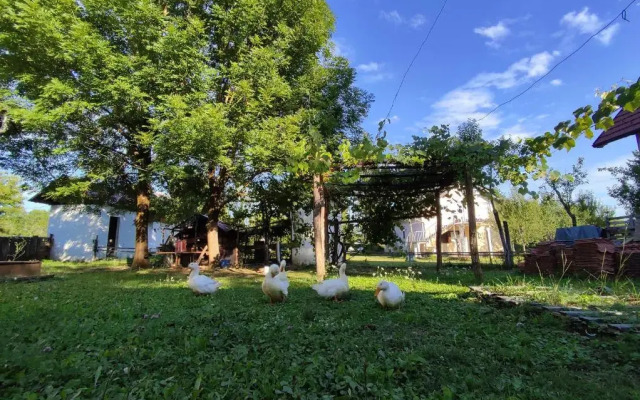Apartments Eco Forest Resort