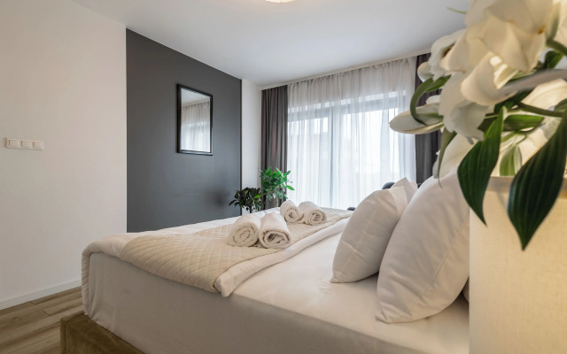 Luxury Apartments Just In Center