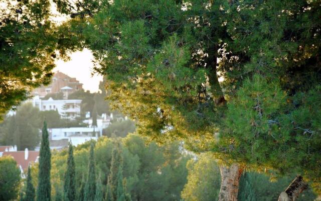 Yellow Jasper - Gemstone Getaway