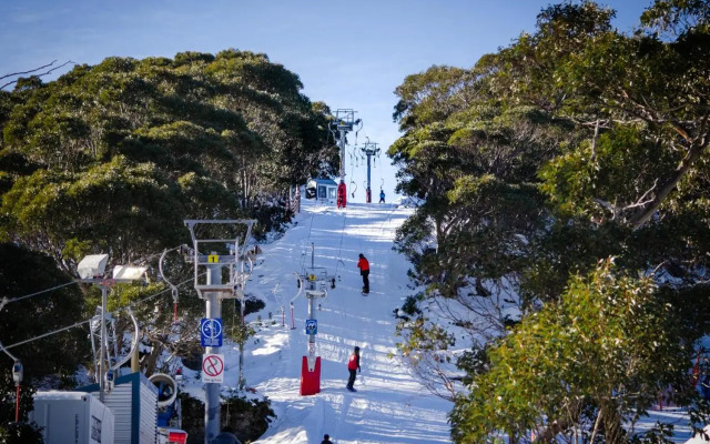 Snow Gum Apartment 2