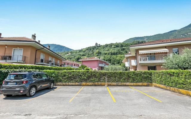 The Olive Tree Garden With Mountain View