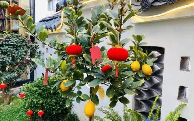 Lijiang Chujianru Gu Homestay