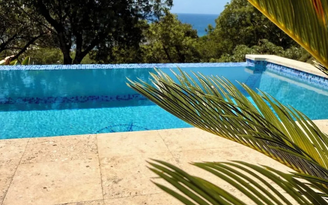 Roatan Infinity Pool & Ocean View