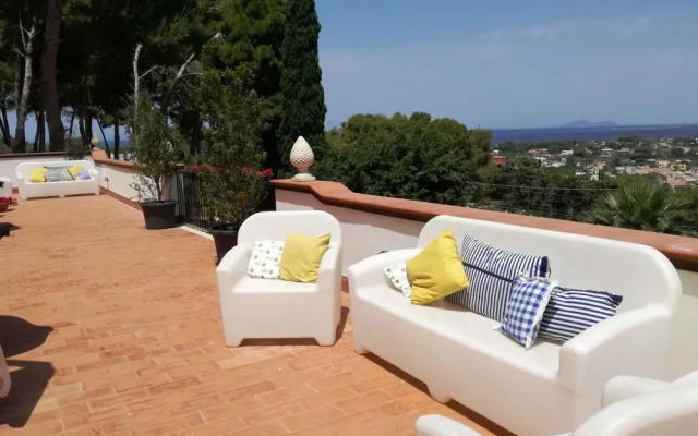 B&B Doppio Koncerto
