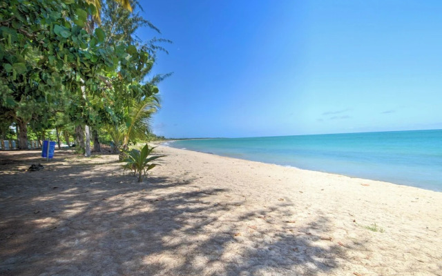 Loiza Condo w/ Rooftop Patio - Walk to Beach!