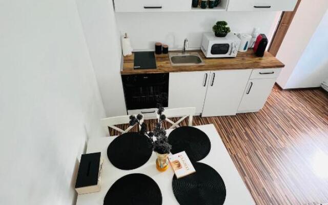 Apartament in regim hotelier King Medias