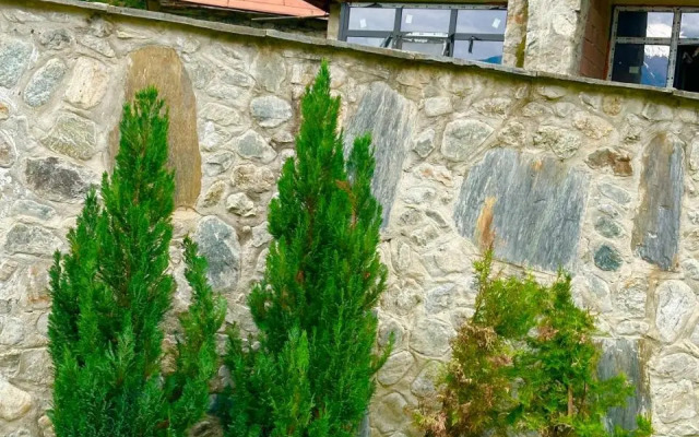 Mziuri Guest House