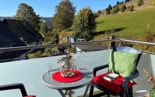 Schwarzwaldblick 41430