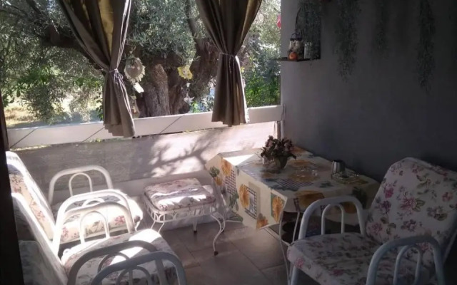 Jenny's House