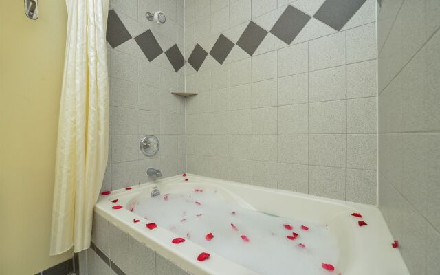 University Inn & Suites