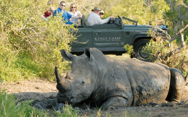Kings Camp Private Game Reserve