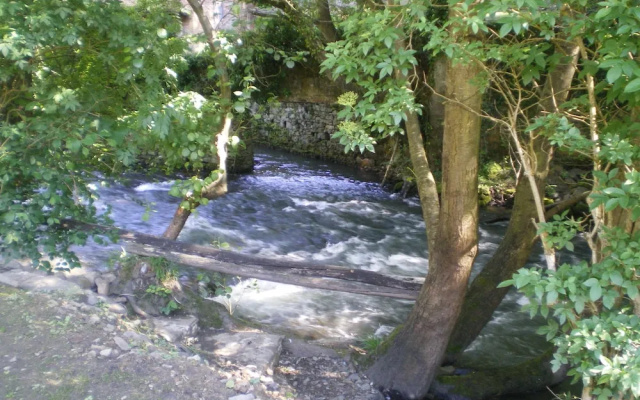 Corrada Torales