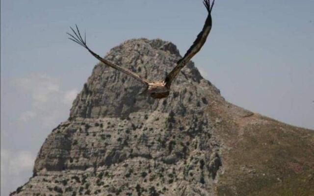 Wooden House at the Mountain-private