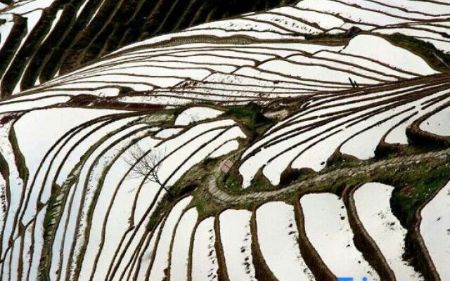 Floral Hotel·Longshengyue Shangshanshe Hotel(Longji Terrace Jiulong Wuhu Observation Deck)