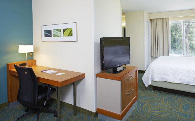 Springhill Suites Atlanta Six Flags