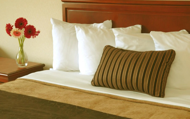 Quality Hotel & Suites Montreal East