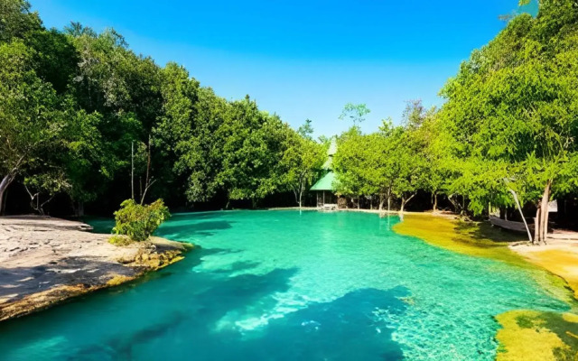 Brown Andaman  Krabi