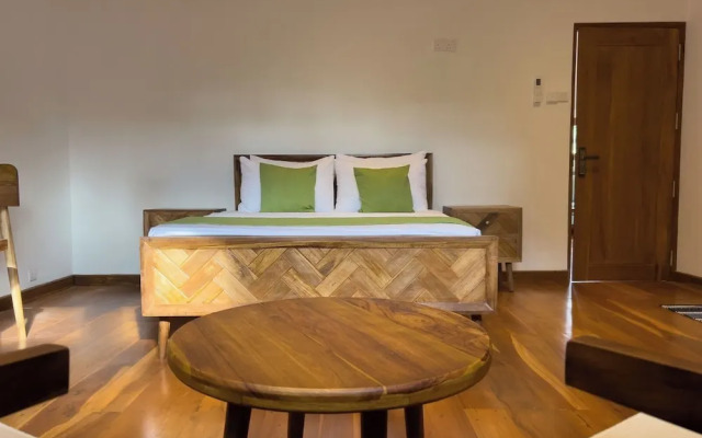 🐢 Turtle BAY View