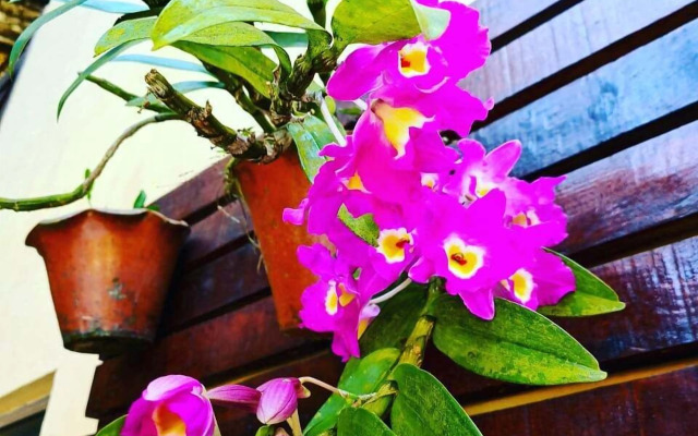 Pousada Recanto dos Tangaras