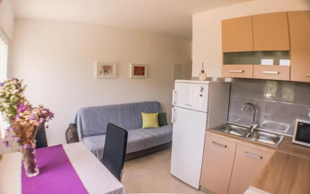 Apartments Frano Ropa
