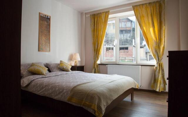 Prahova Valley Apartment