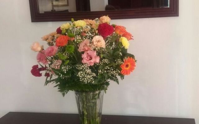 Airport Inn Executive Suites