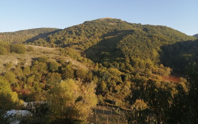 B&B Il Ghiro - Country House