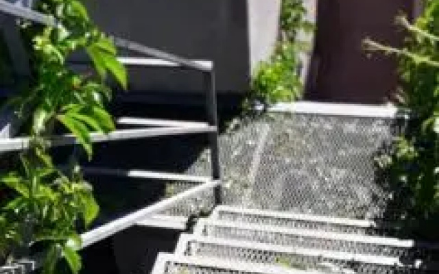 P3 Estratégico departamento para conocer Mendoza