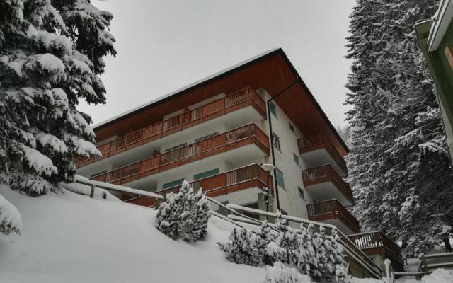 Appartamento Campiglio