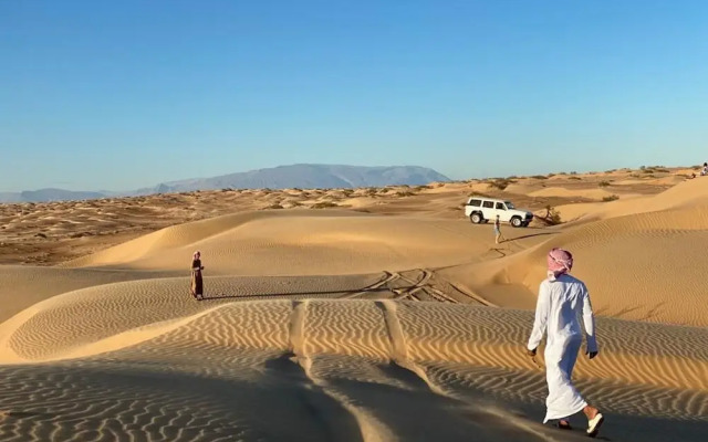 Golden Palm Oasis