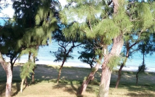 Bed and Breakfast Waterfront - Rodrigues Island