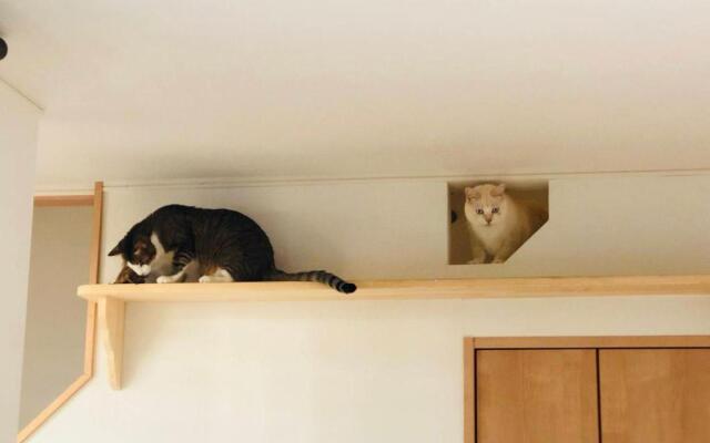 Guesthouse Gifu SUAI