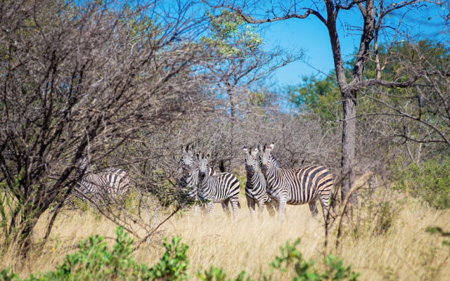 Dakeni Game Farm