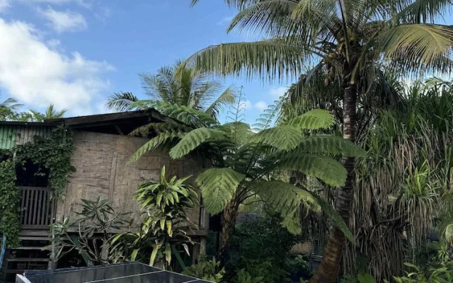 Jungle Oasis