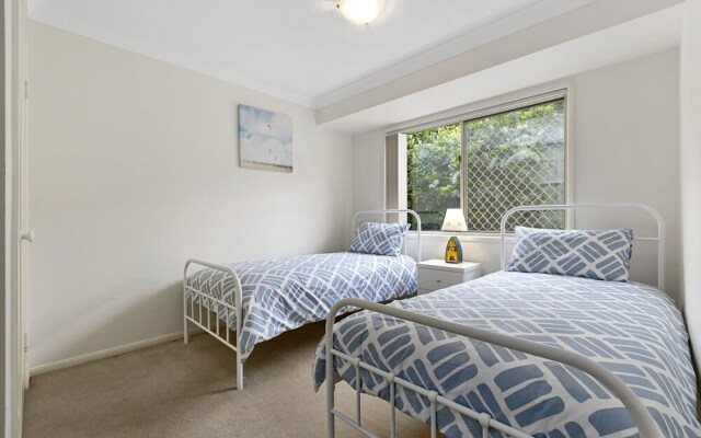 SeaShells At Noosa Heads