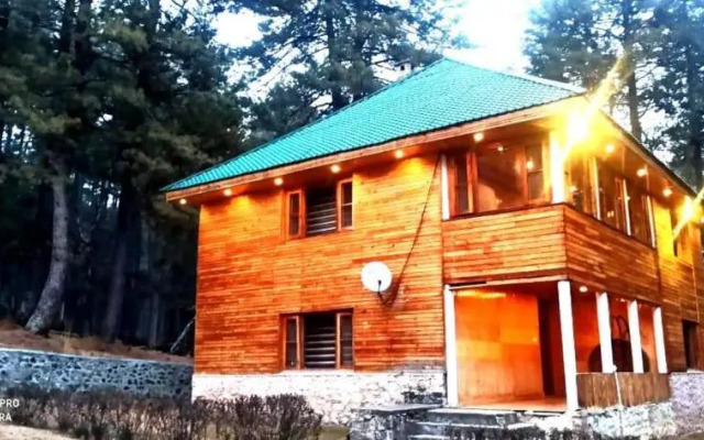 Pahalgam Woods