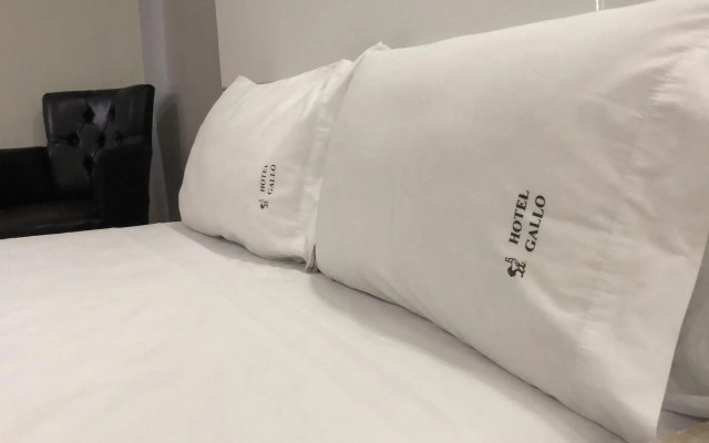Hotel Gallo Rubio