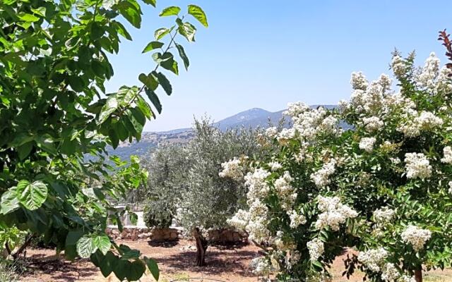Sanabl Bed & Breakfast