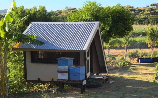 The Beehive Fiji